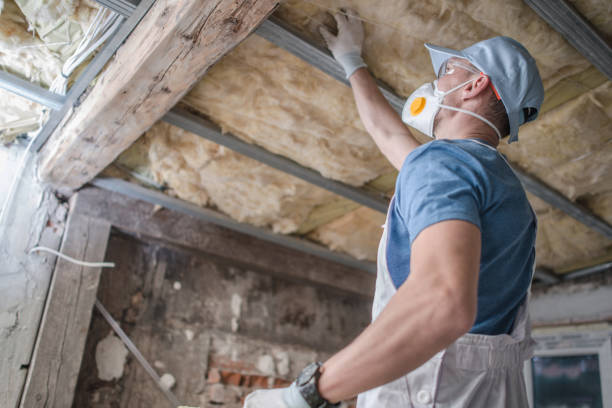 Best Insulation Installation Services in Livingston, MT